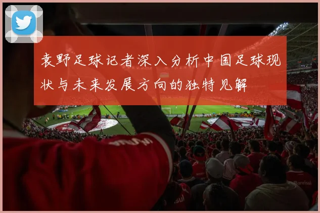 袁野足球记者深入分析中国足球现状与未来发展方向的独特见解