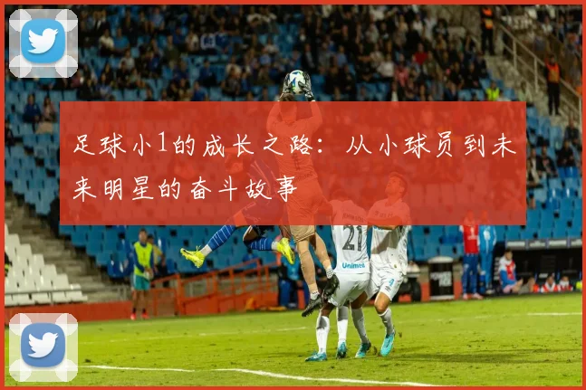 足球小1的成长之路：从小球员到未来明星的奋斗故事