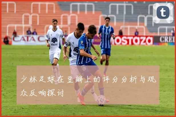 少林足球在豆瓣上的评分分析与观众反响探讨