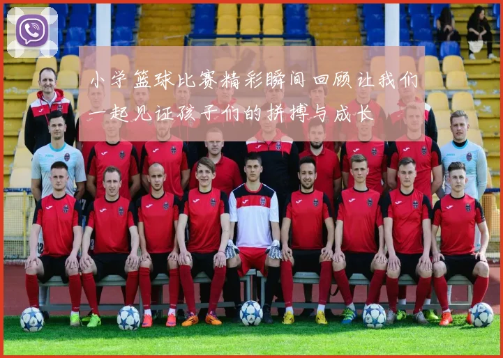 小学篮球比赛精彩瞬间回顾让我们一起见证孩子们的拼搏与成长